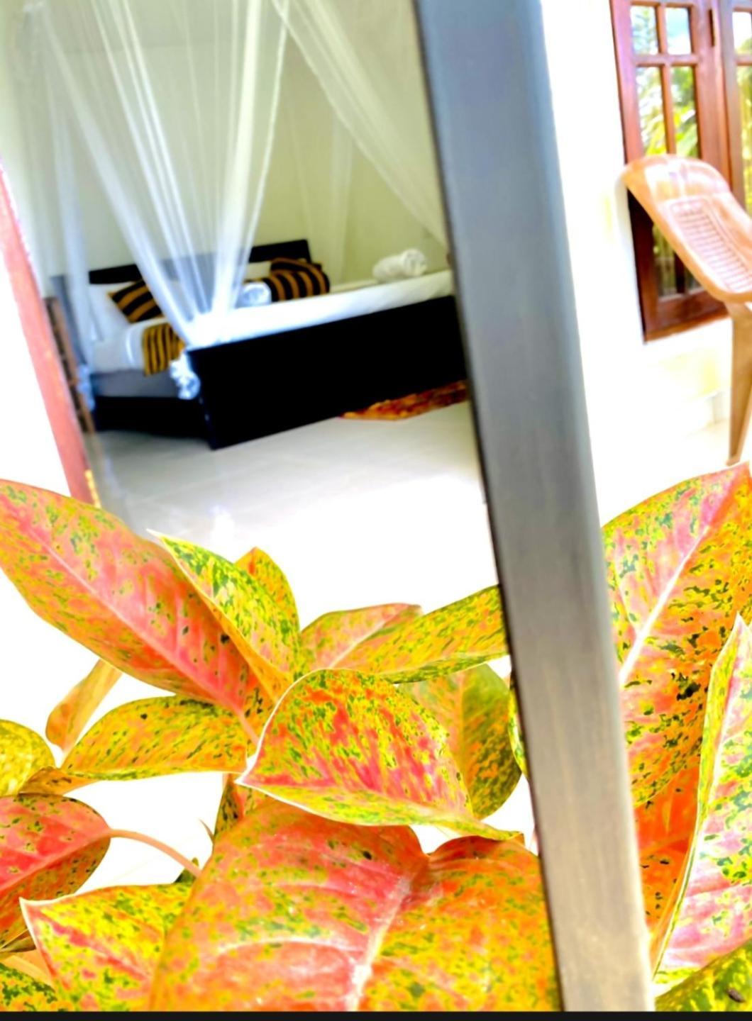 Sadew Home Stay 엘라 외부 사진